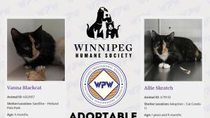 WPW and the Winnipeg Humane Society Team Up!