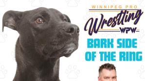 BARK SIDE OF THE RING