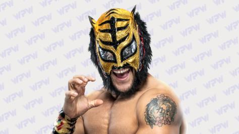 Lince Dorado