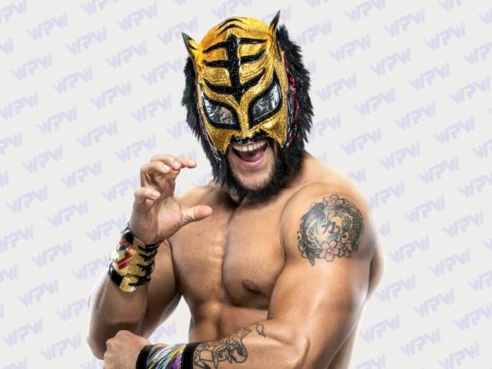 Lince Dorado